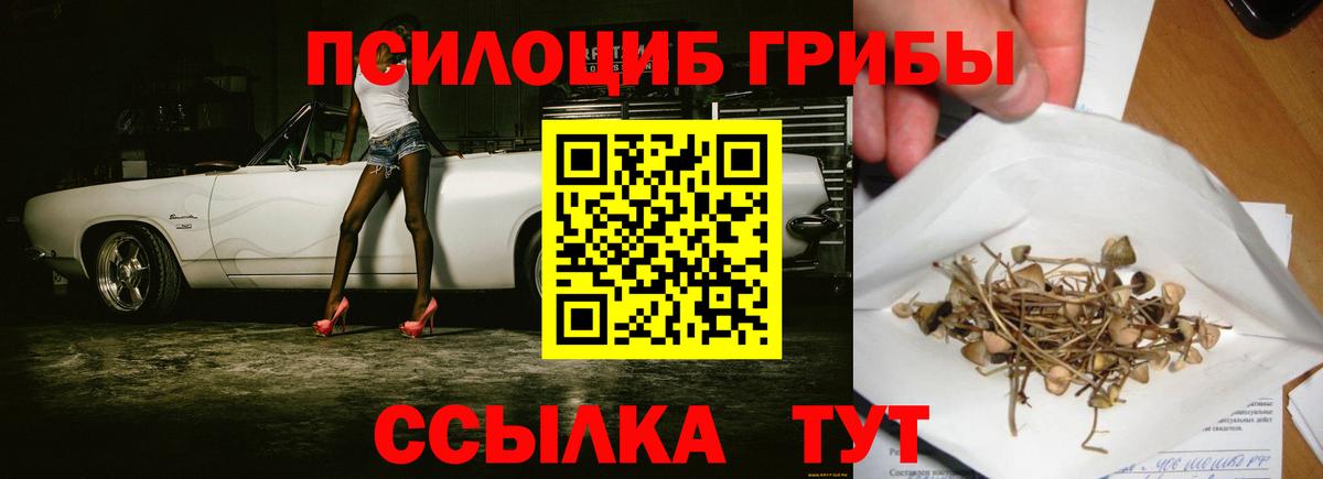 Галлюциногенные грибы Magic Shrooms Можга